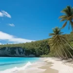 Home 18 나우루 화폐와 환율 - **"Nauru's Golden Age: Pacific Paradise of Prosperity"**
A vibrant, sun-drenched scene depicting...