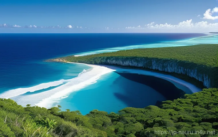 나우루 화폐와 환율 - **"Daily Life on Contemporary Nauru: Community and Coastal Charm"**
A realistic and inviting sce... 나우루 화폐와 환율 - **"Daily Life on Contemporary Nauru: Community and Coastal Charm"**
A realistic and inviting sce...