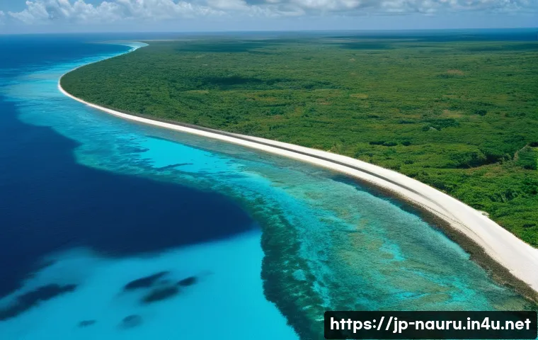 나우루 경제 발전 가능성 - **Prompt:** "A vibrant, panoramic aerial view of Nauru during its phosphate boom in the 1970s. The i...