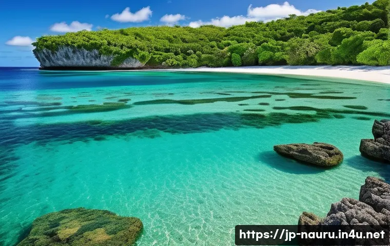 나우루 관광 명소 - **Prompt:** "A breathtaking panoramic view of Anibare Bay in Nauru. The emerald green ocean shimmers...